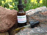 Fortified Hemp Moisturizing Oil - Circle A Ranch - 1